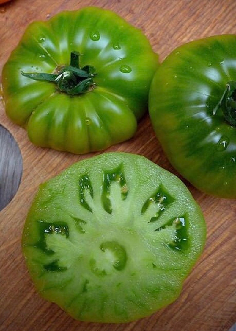 SALE Cherokee Green Beefsteak Heirloom Tomato Gourmet Excellent Sweet