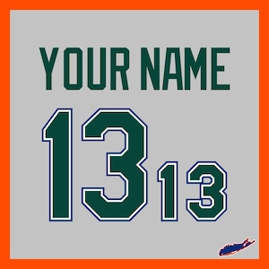 May include: A gray background with the text "YOUR NAME" in dark green. Below, the number "13" is displayed twice, with a white outline and dark green fill. An orange border frames the design, with a small Long Island outline.