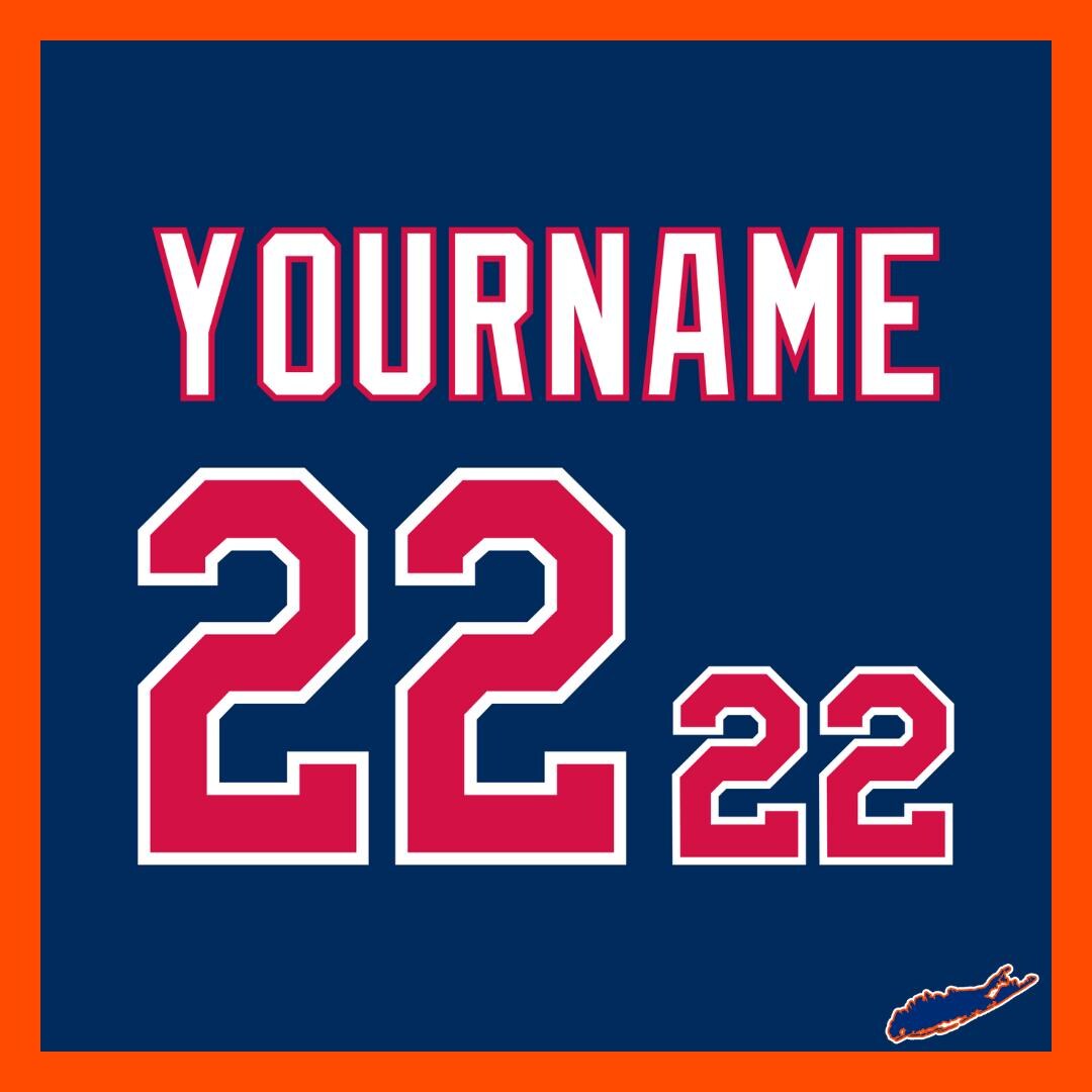Minnesota Twins Custom Lettering Kit for 1997-2008 Blue Road Jersey - Etsy