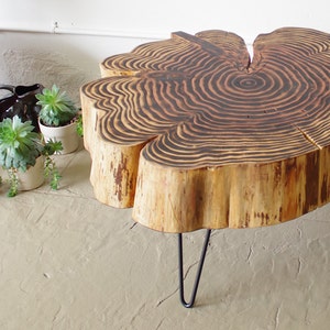 sequoia nimbus coffee table live edge with mid century modern hairpin legs mod urban wood salvage image 4