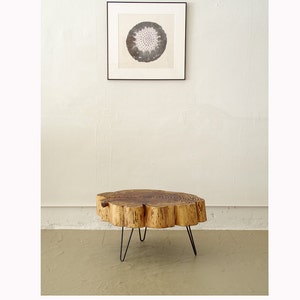 sequoia nimbus coffee table live edge with mid century modern hairpin legs mod urban wood salvage image 2