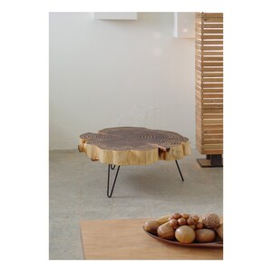 sequoia nimbus coffee table live edge with mid century modern hairpin legs mod urban wood salvage image 6