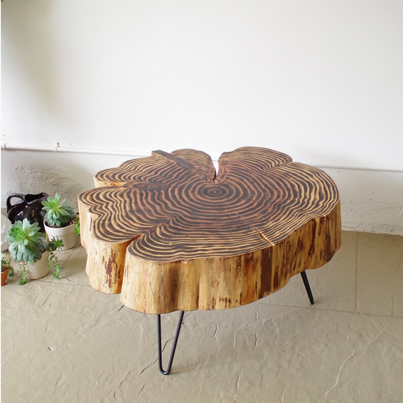 sequoia nimbus coffee table live edge with mid century modern hairpin legs mod urban wood salvage image 4