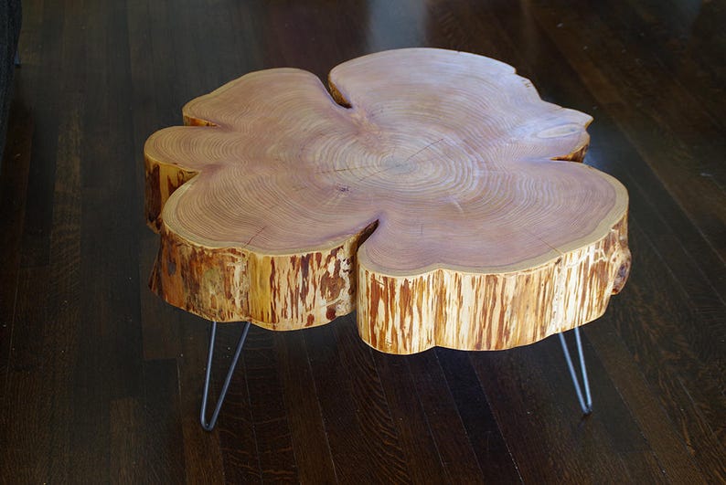 live edge coffee table urban salvage parabola cloud table natural edge with midcentury modern hairpin legs flower cedar flare image 6