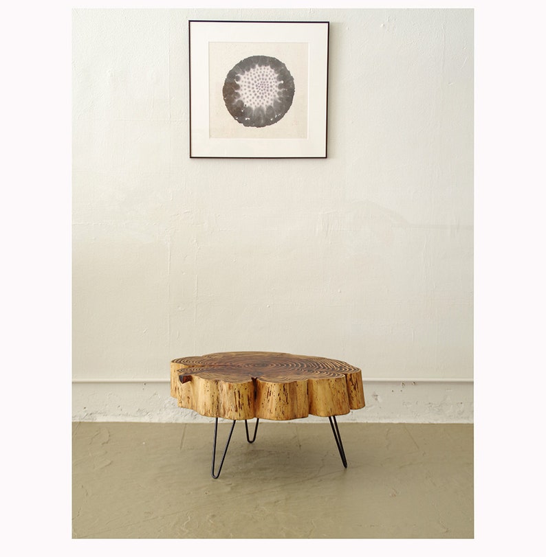 sequoia nimbus coffee table live edge with mid century modern hairpin legs mod urban wood salvage image 2