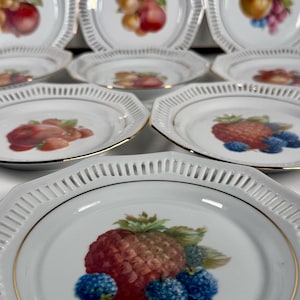 FIND Schwarzenhammer Bavaria Fruit Plates Set of 9 Vintage Western Germany Porcelain Dessert Salad Plates Gold Trim 1970s