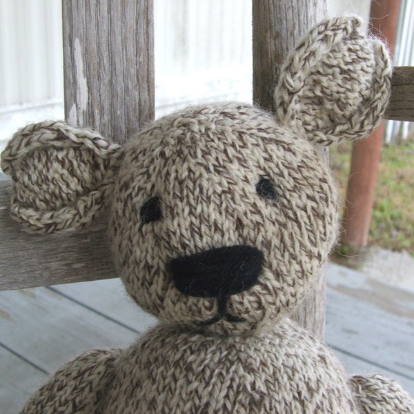 Phillip's Teddy to help save my home