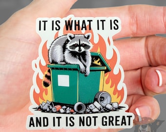 Dumpster Fire Racoon Sticker: Mental Health Waterproof Vinyl Decal- It Is What It Is, It Is Not Great - Raised Spot Gloss for Laptop Tumbler