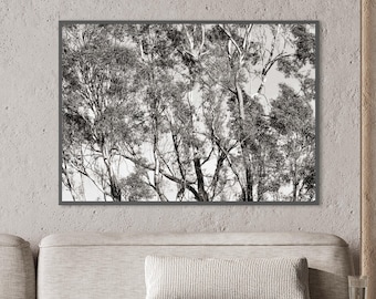 Black and White Tree Photography Print: Nature Fine Art