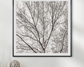 May include: Black and white framed print of a tree's branches against a light background. The artwork is displayed above a dark wood cabinet, with decorative spheres and vases. The room has a modern, minimalist aesthetic.