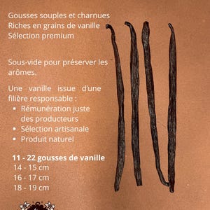 Vainas de vainilla Bourbon Madagascar | 11 o 22 | 14–20+ cm | Grado A+ carnosas al vacío | Atelier Évin
