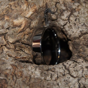 May include: A shiny, silver funnel with a wide opening and a narrow spout, nestled in a rough, brown, textured tree bark.