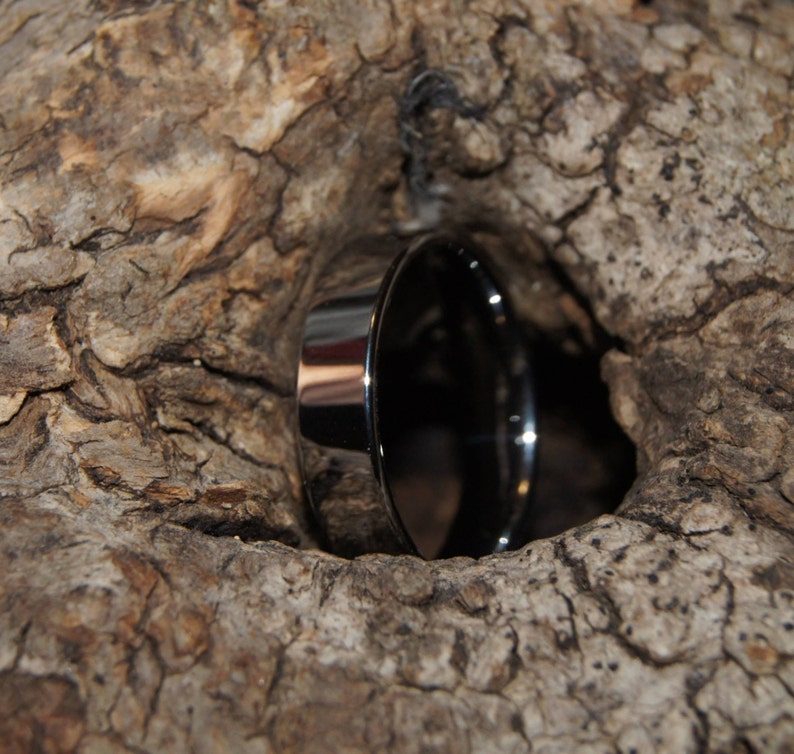 May include: A shiny, silver funnel with a wide opening and a narrow spout, nestled in a rough, brown, textured tree bark.