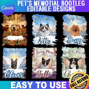 Op de afbeelding: Een verzameling gedenktekens voor huisdieren met afbeeldingen van honden en katten met engelen vleugels, halo's en data. De ontwerpen bevatten zinnen als "Rest In Piece" en "In Loving Memory" met namen als Gavin, Kitty, Daisy, Oliver, Stella en Ch.