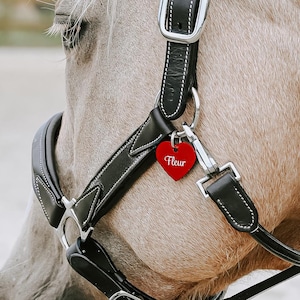 Médaille personnalisée en forme de coeur pour animal de compagnie en aluminium avec gravure au laser - Médaille nominative pour chats, chiens ou sellerie