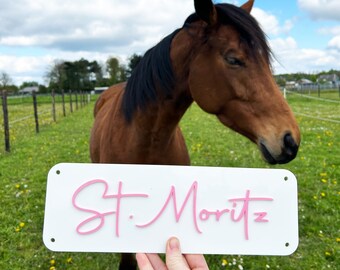 Targa con nome per porta della stalla in acrilico personalizzata tagliata al laser, targhetta con nome personalizzata per porta della stalla per proprietari di cavalli, regalo perfetto per il nuovo cavallo