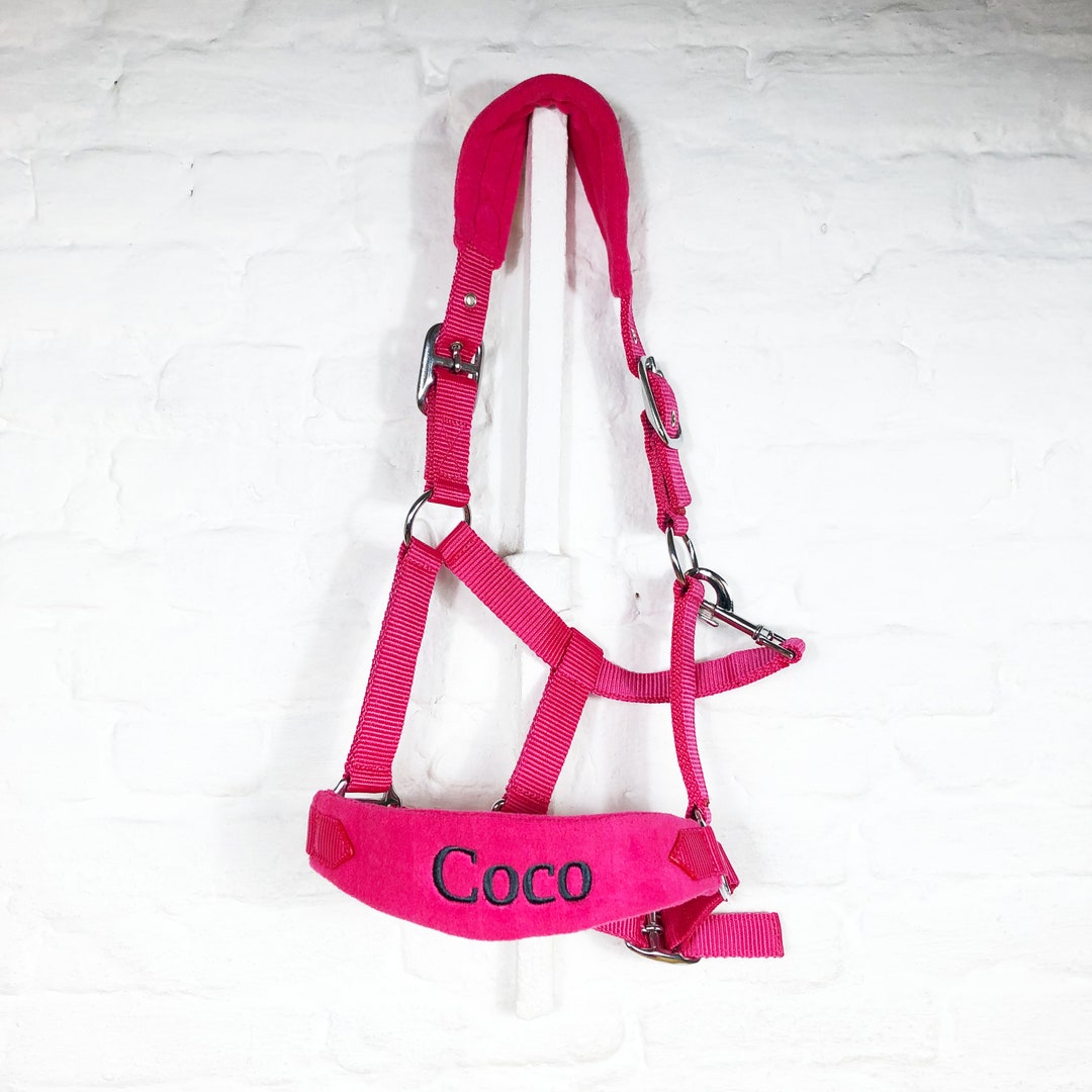 Horse Halter With Name Embroidery Equestrian Head Collar Halter Lead