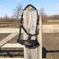 Custom Embroidered Horse Halter: Fleece Padded Personalized Tack
