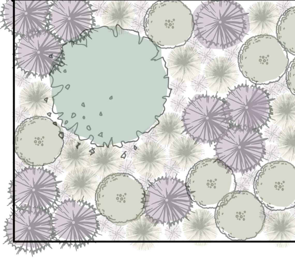 Sunny Garden Border Planting Plan - UK Climate - Etsy