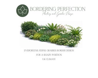 Sunny Garden Border Planting Plan - UK Climate - Etsy