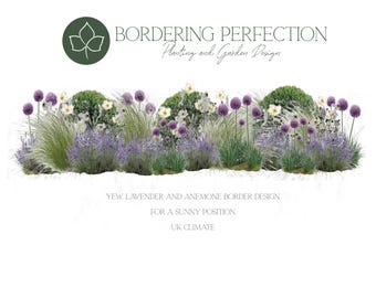 Plan de plantación de borduras de jardín soleadas - Clima del Reino Unido