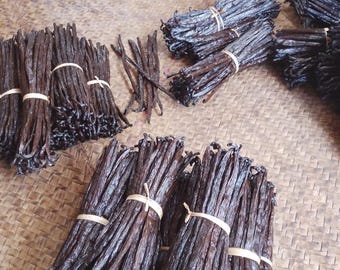 May include: Bundles of dark brown vanilla beans tied with twine, arranged on a woven mat. The image shows several bundles of the vanilla beans, some tied and others loose. The beans have a rich, dark color and appear to be freshly harvested.