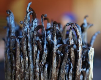 May include: Close-up of a bundle of dark brown vanilla beans. The beans have a wrinkled texture and a slightly curved shape. The image has a shallow depth of field, with the beans in focus and the background blurred.