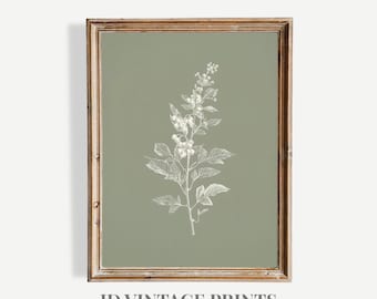 Vintage Sage Green Botanical Printable, French Farmhouse Decor Print (Digital Download)