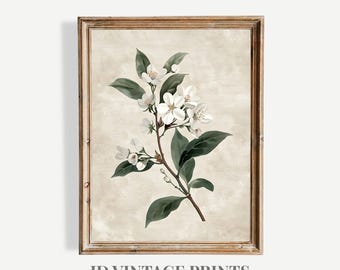 White Flower Botanical Printable, Vintage Floral Art Print Neutral Cottagecore Farmhouse Botanical Wall Decor  (Digital Download)