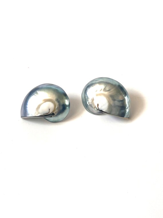 Vintage Shell Earrings, Nautilus Shell Earrings, … - image 1