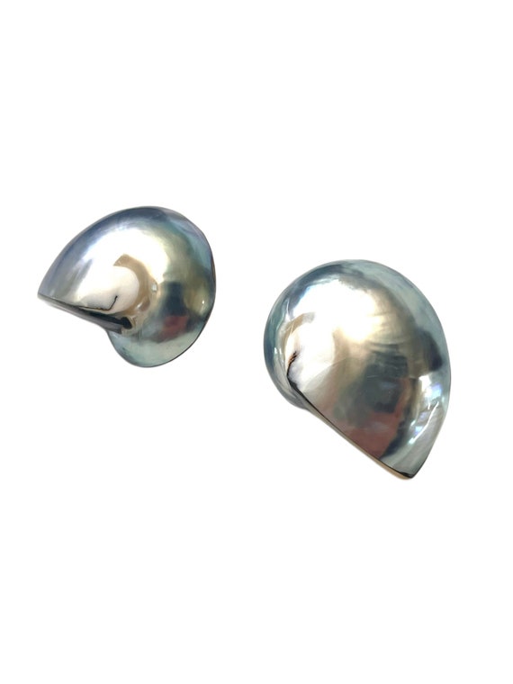 Vintage Shell Earrings, Nautilus Shell Earrings, … - image 8