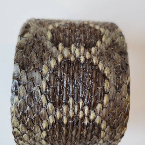 Vintage Snake Cuff  Genuine Snake Bracelet Wide Animal Print image 7