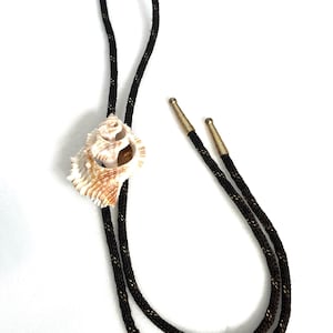 May include: A bolo tie featuring a natural seashell pendant with brown and gold accents. The cord is dark brown with gold flecks and has gold-colored metal tips.