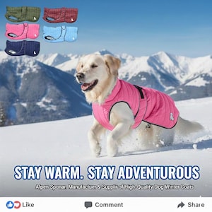 Może przedstawiać: Golden retriever w różowej pikowanej kurtce dla psa biegnie po śniegu. Obraz zawiera wybór kurtek dla psów w różnych kolorach: zielonym, bordowym, różowym, jasnoniebieskim i granatowym. Tekst brzmi: STAY WARM. STAY ADVENTUROUS.