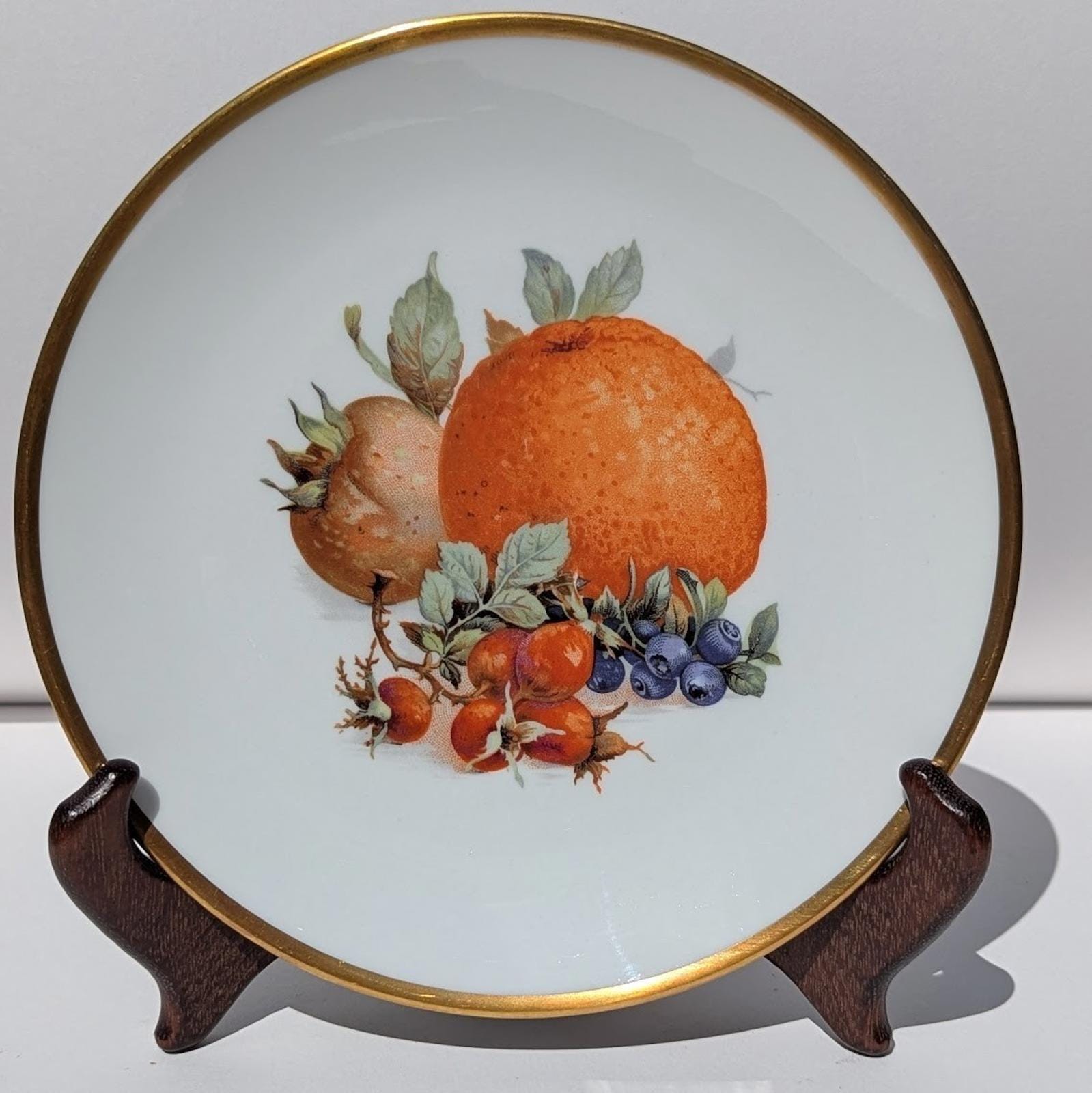 Bavaria Schumann Arzberg Germany Plate - Etsy
