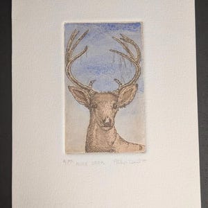 May include: A framed print of a mule deer. The artwork features a detailed depiction of the deer's head and antlers against a blue and white background. The print is signed and titled "Mule Deer" with the initials "A.P."