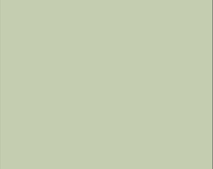 Solid Seagrass Wrapping Paper | Custom Curated Color and Pattern Print Collection