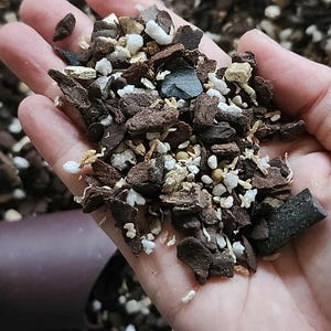 May include: Close-up of a handful of mixed potting soil. The soil is composed of dark brown bark pieces, white perlite, and small, light-colored pebbles. The background shows more of the same soil mix, and a brown pot is visible.