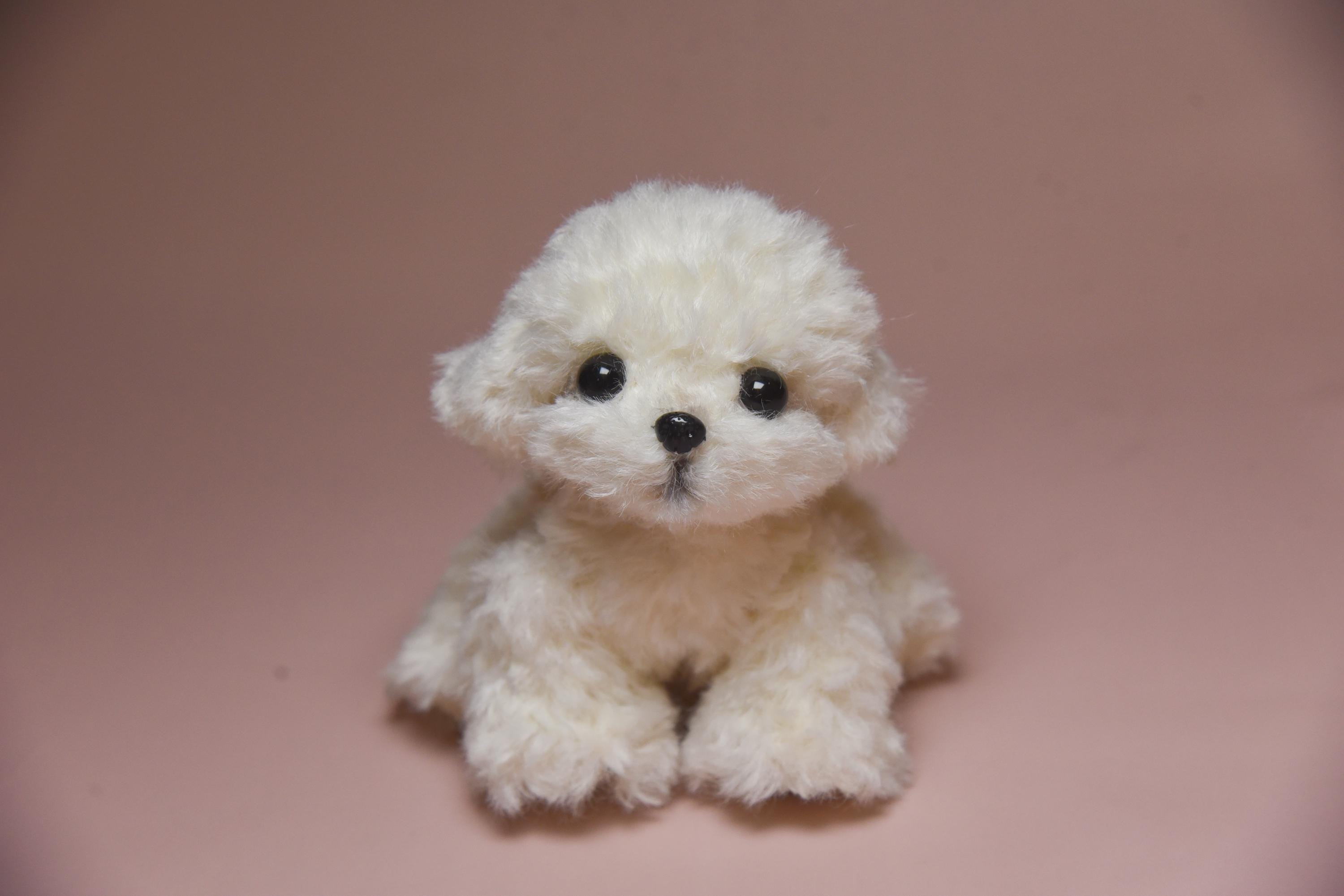Buy Fluffy Poodle Toy Online In India India