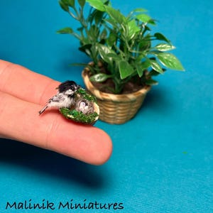 Può includere: Una miniatura di una cincia bianca e nera appollaiata su un minuscolo nido con piccole uova, poggiata su un dito. Il nido è decorato con muschio verde. Sullo sfondo, una piccola pianta verde in un cestino intrecciato. Testo: Malinik Miniatures.