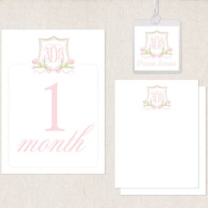 Welcome Baby Gift Set Milestone Cards Diaper Bag Tag