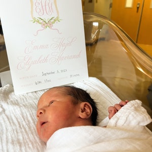 Pink floral crest Newborn Bassinet Signage // welcome baby // girl // pink // stats // hospital // floral // crest // watercolor // birth