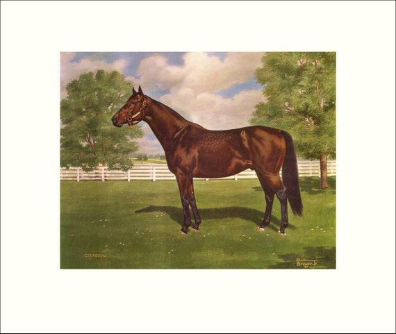 Citation Triple Crown Winner By Allen F Brewer Jr Print Etsy Citation Triple Crown Winner By Allen F Brewer Jr Print Etsy