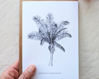 Botanical Notecard – Tropical Palm Illustration – Attalea rostrata – 5x7 Blank Card