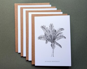 Palms & Forest Giants – Botanical Notecard Set of 4 – 5x7 Cards