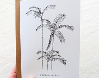Botanical Notecard – Spiny Palm Illustration – Bactris major – 5x7 Blank Card