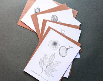 Forest Leaf & Fruit Studies – Botanical Notecard Set of 4 – Tropical Tree Illustrations – 5x7 Cards