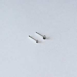 May include: Two silver nose rings with clear rhinestones.