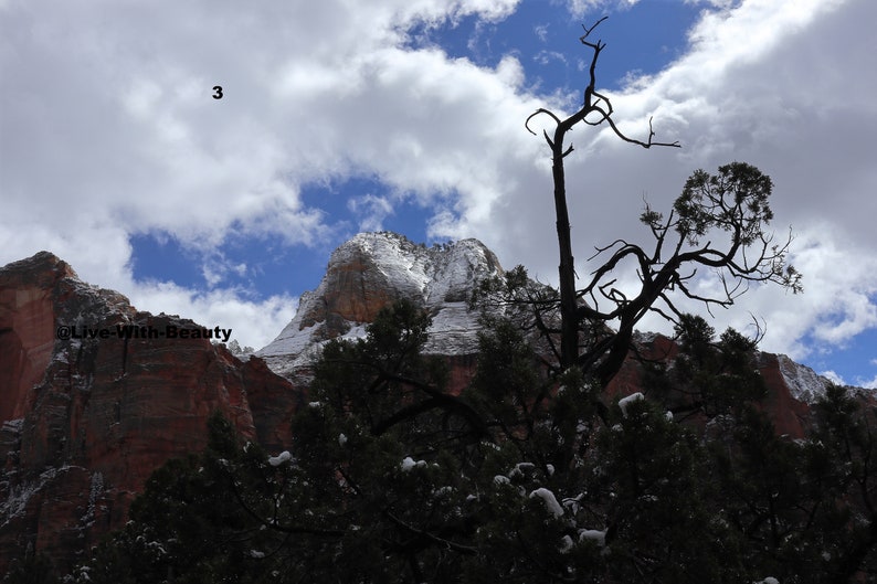 K&ouml;nnte beinhalten: Eine Landschaft mit schneebedecktem Berg unter bew&ouml;lktem Himmel. Silhouetten von B&auml;umen rahmen die Szene ein, mit roten Felsformationen im Hintergrund. Das Bild enth&auml;lt den Text "3" und "@Live-With-Beauty".