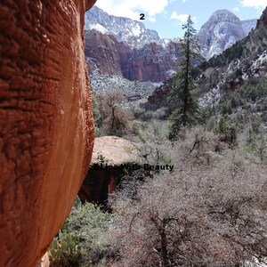 Lustre Paper Print Original Picture Photo Wall Art Decor Photography Landscape Zion Canyons Utah Scene 2